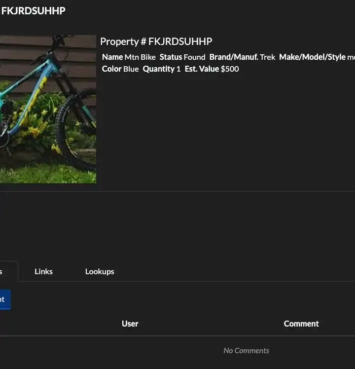 PRoperty Record Screen