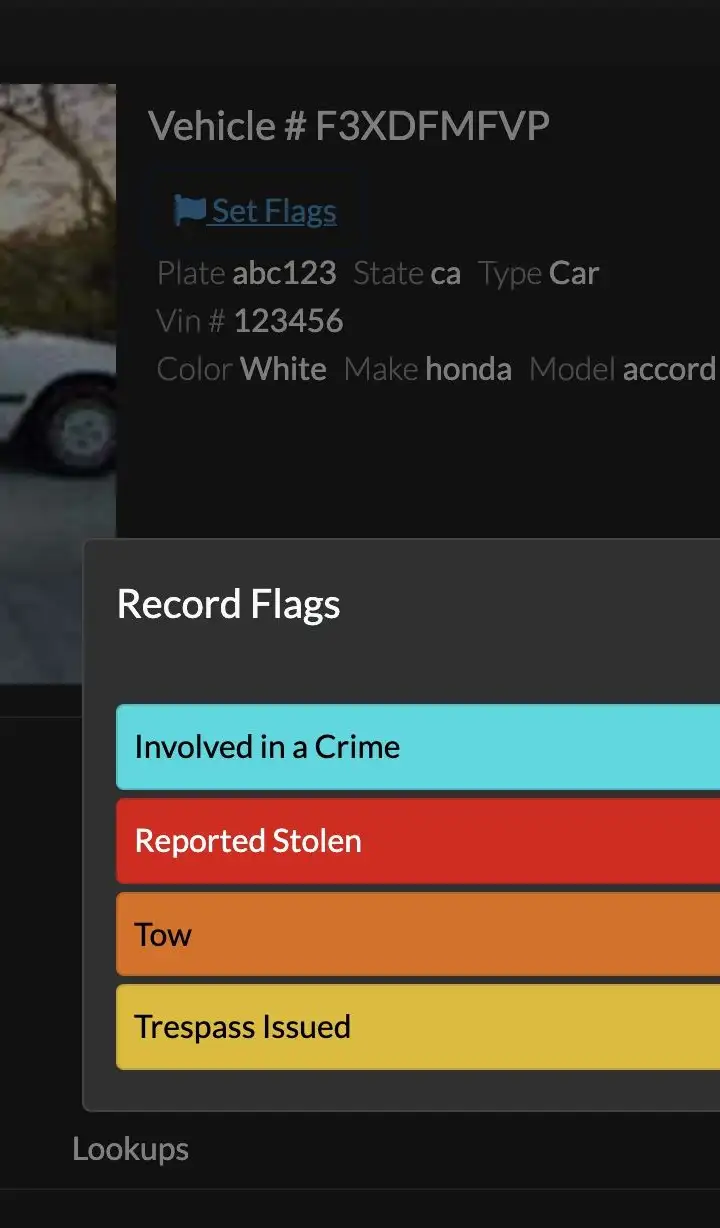 Add Record Flag modal.