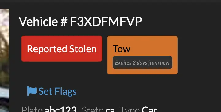 Custom Record Flags with and without expiration time.